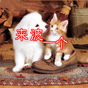 第一次字样的图片5 第一次字样的图片5