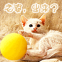 表情祝福成语10 表情祝福成语10