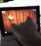 坐摇摇椅的搞笑图片15 坐摇摇椅的搞笑图片15