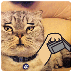 vx恐怖表情包2 vx恐怖表情包2