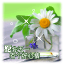 小美女一块玩表情包7 小美女一块玩表情包7