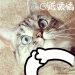 搞笑借钱表情包全套下载2