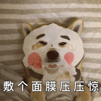 女朋友生气暴走表情5