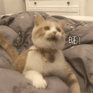 真是好美好美的爱情哦表情包4 真是好美好美的爱情哦表情包4