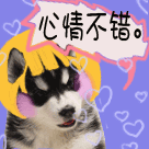 微信表情更新了为什么没有2