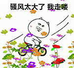 精选10组暴走包的搞笑表情2 精选10组暴走包的搞笑表情2