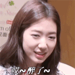 10组熊熊的动态表情4