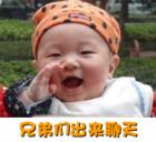 鹦鹉兄弟经典表情包1 鹦鹉兄弟经典表情包1