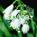 柴犬表情手绘1 柴犬表情手绘1