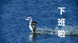 每日晚上温馨问候短信2 每日晚上温馨问候短信2