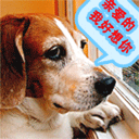 带祝福表情的朋友圈7 带祝福表情的朋友圈7