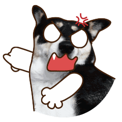 沙雕的表情包熊猫头5