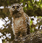 牵老子的手表情包9 牵老子的手表情包9