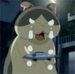 阿布来提表情包分享群2 阿布来提表情包分享群2