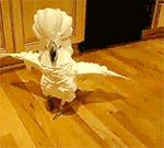 形容沙雕的滑稽表情5