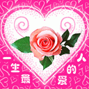 qq表情白熊黑熊6