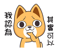 猫猫道歉对不起我错了表情包图集11 猫猫道歉对不起我错了表情包图集11