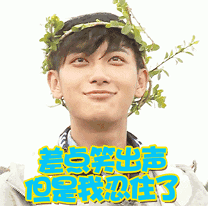 微信小人转圈圈的表情叫什么6