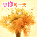 怪难为情的 表情包7