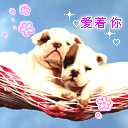 包简单的表情20254 包简单的表情20254