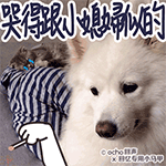 美女机械舞动作表情5