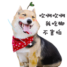 圣诞节快乐祝福语表情动态图8 圣诞节快乐祝福语表情动态图8