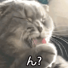 无论的含义是什么7 无论的含义是什么7