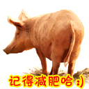 宋民国心情不好表情包5 宋民国心情不好表情包5