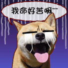 悄悄的表情6 悄悄的表情6