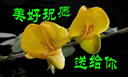 娃娃的表情包合集3 娃娃的表情包合集3