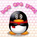 情侣道歉用表情包12 情侣道歉用表情包12