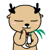 新人进群群规表情包9 新人进群群规表情包9