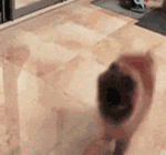 12张动画的鄙视表情12