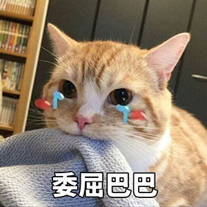 韩国美女走心表情包11 韩国美女走心表情包11