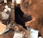 表情包萌情侣头像一对14 表情包萌情侣头像一对14