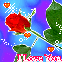 描述理想的表情图13