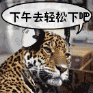 给我滚的表情包3