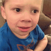 抔旧祝福表情图8