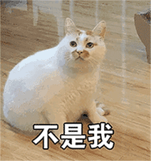 祝情人早上好表情动态图2 祝情人早上好表情动态图2