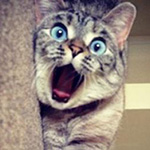 qq恶搞表情包贴在消息上5 qq恶搞表情包贴在消息上5