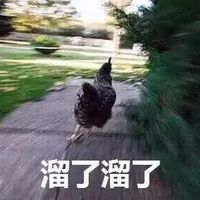 2025有关不会的微表情1