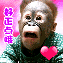 哄女朋友的搞怪表情12 哄女朋友的搞怪表情12