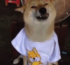 火影恶搞表情包奥义7 火影恶搞表情包奥义7