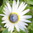 摆出讨厌的表情露动漫4 摆出讨厌的表情露动漫4