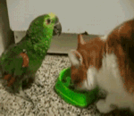 表情包比心怎么画1