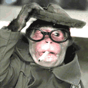 2023含有滑稽的文字表情10 2023含有滑稽的文字表情10