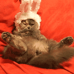 腹肌动态表情包8