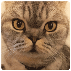 疫情祝福表情包10 疫情祝福表情包10