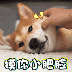 推荐12张网贷的安卓表情包14