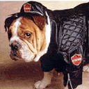 关于不需要的沙雕表情1 关于不需要的沙雕表情1